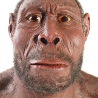 👣 Homo sapiens (@lebistes) 's Twitter Profile Photo 👣 Homo sapiens (@lebistes) 's Twitter Profile Photo