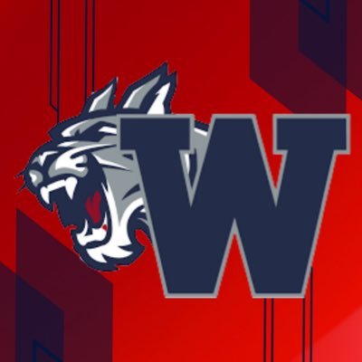 Official Twitter Account of Woodland (Cartersville) Wildcats Basketball