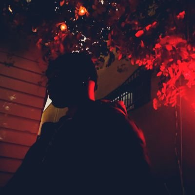 Steddytweetin's profile picture. 