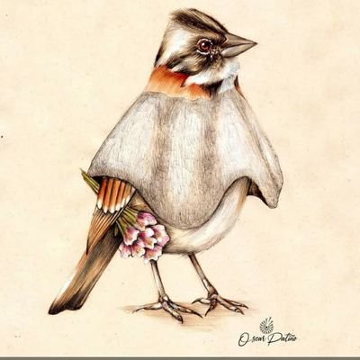 ROSAHELENARODR8's profile picture. 