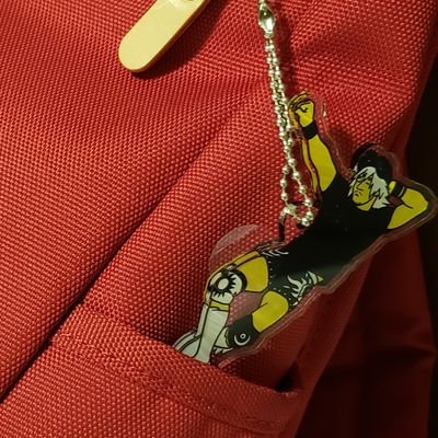 SMTinSirokiya's profile picture. 内藤哲也選手💖新日本プロレス、応援しています！プロレス好きな方々と繋がってもっとプロレスを楽しみたい♪ただのずぼらな主婦。フォロバは消極的ですみません。