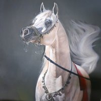 عبُود (@1dx_aboody) 's Twitter Profile