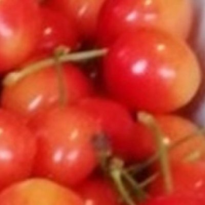 sakucherr's profile picture. 