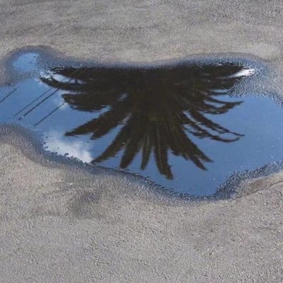 LILOP87433391's profile picture. 