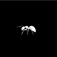 Chinois for life🐜🐜🐜👑 Goat wendyyyyking (@lucksonralph) 's Twitter Profile
