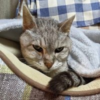 Mari (@rimajsk) 's Twitter Profile Photo