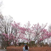 Makiko.BLUE (@makikolon) 's Twitter Profile