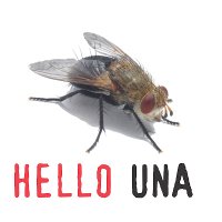 Una Visuali (@unavisuali) 's Twitter Profile