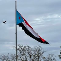 نصر الهاشمي.. (@nasralhashemi) Twitter profile photo