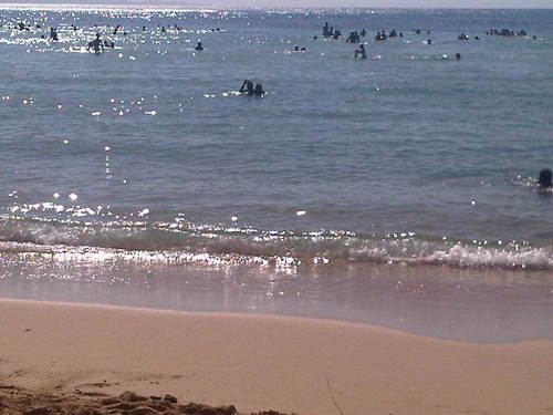 NebotKatia's profile picture. 