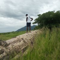first choicemilk🇲🇼🇿🇼 (@may28th01) 's Twitter Profile