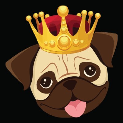 Welcome to our PUG Lover's Page 💕
| If you love PUG follow
us for daily updates..🇱🇷
#pug #puglife