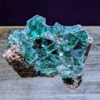 ミネラルアドベンチャー (@mineraladventur) 's Twitter Profile