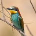 Tony’s Photos ….🍂🍁 (@tonywootton7) Twitter profile photo Tony’s Photos ….🍂🍁 (@tonywootton7) Twitter profile photo