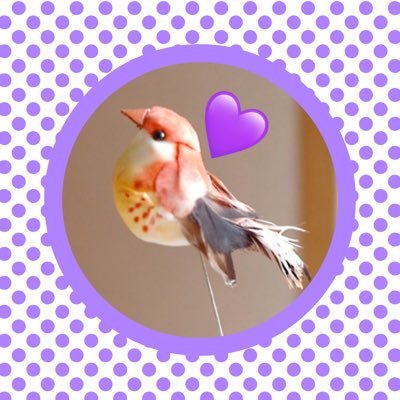 Totto🕊Sky (@totto0830mj) / X