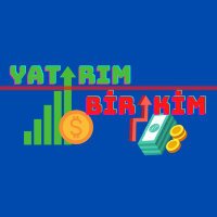 Birikim ve Yatırım(@yatirimvbirikim) 's Twitter Profile Photo