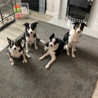 love life be kind junglist for life love my girls 🐶💗🐶💗🐶💗🐶💗 gym life