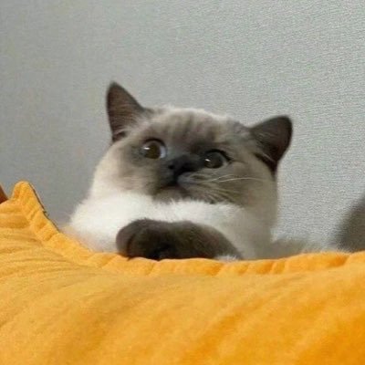 taterakchanjing's profile picture. 