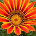 Janeth Duran - @JanecitaDuran - Twitter