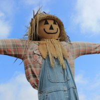 Straw Man (@strawmanhere) 's Twitter Profile