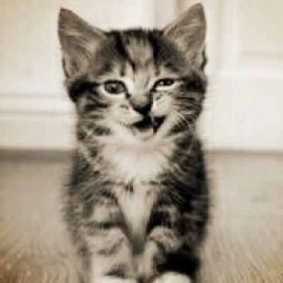 YamaYamaDa5588's profile picture. 個人日記
趣味垢
ご飯、パチ、dqw、投資、釣り🆕