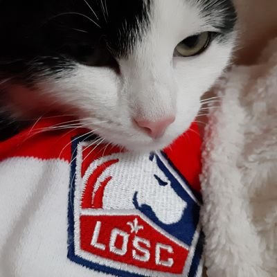 Parisien pour sa ville, ce qu'elle nous offre. La Normandie & ses impressionnistes. Lillois pour le Foot.. OGR Gendy fut un temps et enfin
Humain de mon chat.