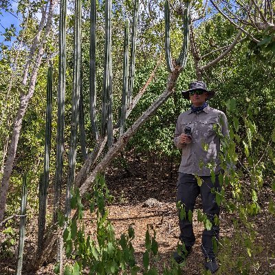 JamieGeospatial's profile picture. A creative problem solver, working in the environmental / geospatial technology sector.