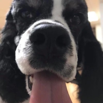 RagenDonna's profile picture. Happy to be alive.