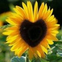 Consuelo Navarro - @Consuel96175572 - Twitter