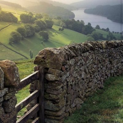 Sskane5's profile picture. 🙏🏻☘️