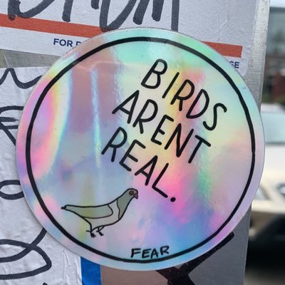 IShop4U's profile picture. Father, Husband, Son, secretly 3rd guitarist & harmonies in The Stones. Opinions expressed here result of public education.