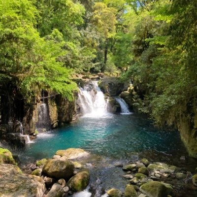 marumaluma's profile picture. 夢の途中