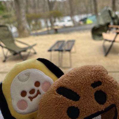 大人ARMY★🐱沼オチ推し🐥推し🏕🍳🔦アウトドア系アミ♡⛺️無言フォロー失礼します。