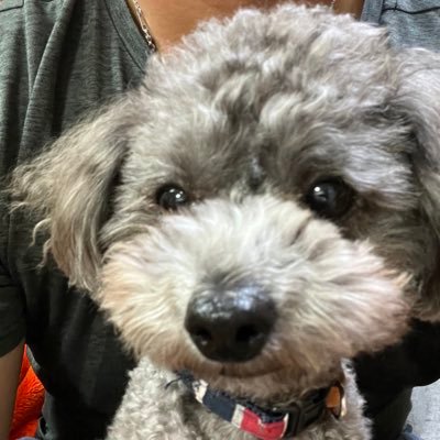 こっちゃんねるやってます! こたろうの日常を投稿してます! よかったらチャンネル登録よろしくお願いしますm(_ _)m いいねくれたらフォローしに行きます!! 無言フォロー失礼します!!