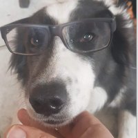 Roza (@rzzs) 's Twitter Profile