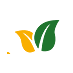 ayurvista (@ayurvista) Twitter profile photo ayurvista (@ayurvista) Twitter profile photo