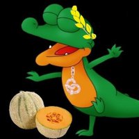 Schnappi (@infernoschnapp) 's Twitter Profile