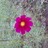 ksb8770's profile image