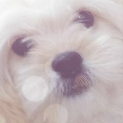 489wN7jHi19nAbV's profile picture. 