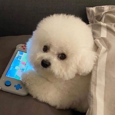 안녕하세요 ~