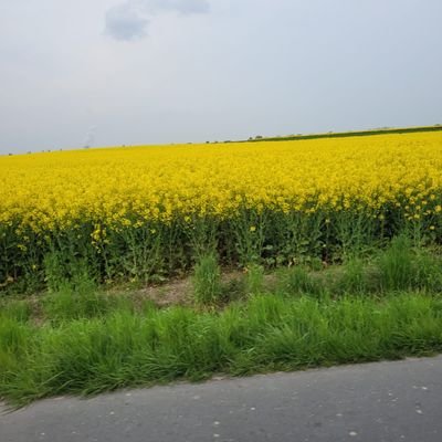 Mrv_fk's profile picture. Gelmeyen o günü beklemekte...