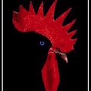 James Werner - @Sedonarooster - Twitter