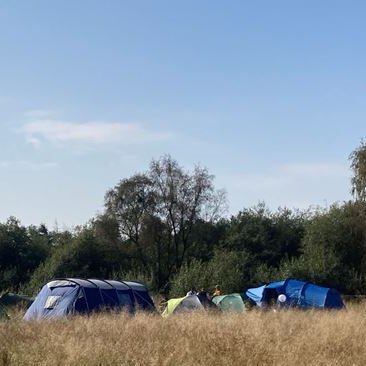 Warwickshire's SSSI working woodland, campsite, cabins & activities 🌲🌿🍁