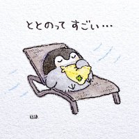 自由を目指すマイラー医🌟 (@miledepon1) 's Twitter Profile