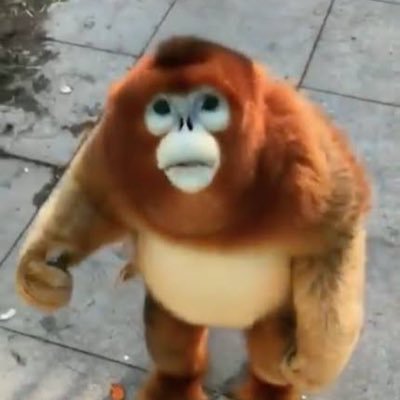 chanpatters12's profile picture. 