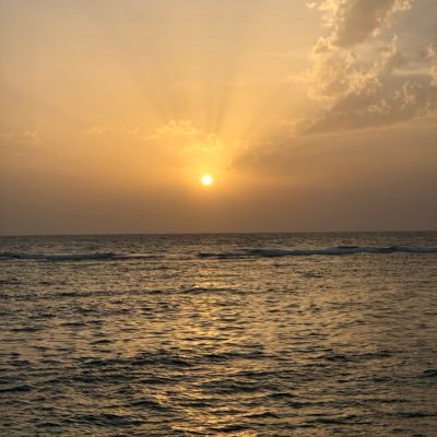 Gaadaa3's profile picture. 