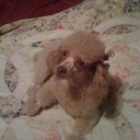 Amber  Turnage - @SHERBERT4U - Twitter