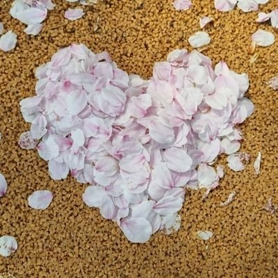 M2E_DDUDDA's profile picture. 🌸Korea M2E Team 

@M2E_STAR
@M2E_DDEDDE
@M2E_RAIN
@M2E_ganzi
@M2E_FORUM
@M2E_bonobono
@M2E_SIN
@M2E_wachi
@M2E_DFF
@M2E_BABEL
@M2E_goobada
@M2E_JBYEOL