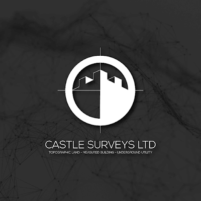 Castle Surveys Profile