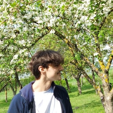 no__oly's profile picture. 